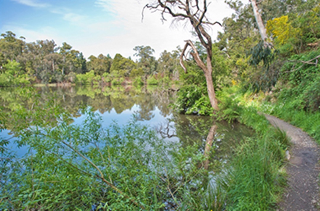 Lake Jubilee Hepburn Shire Council