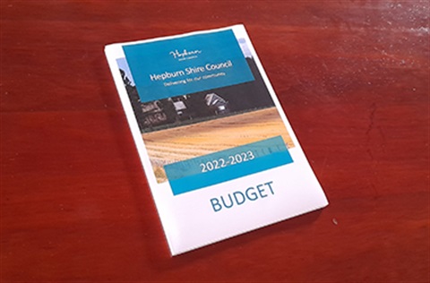 Front cover of draft budget