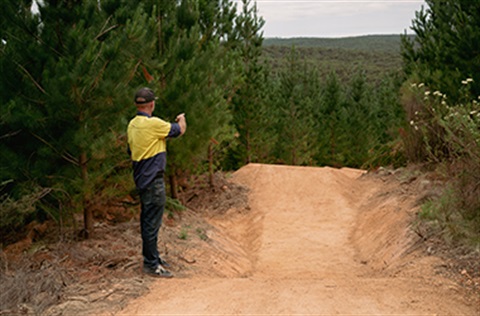 A person standing a the top of some trails