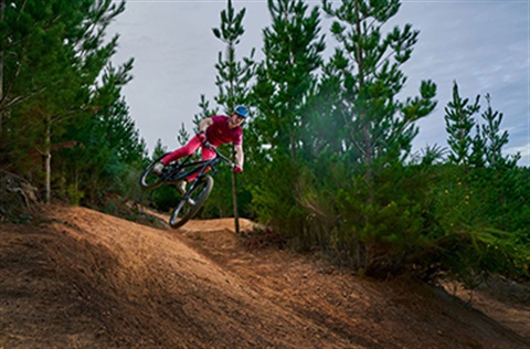 Person on a mountain bike riding trails