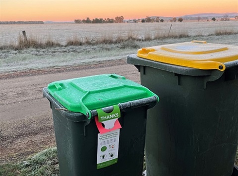 Icy bins