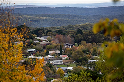 Image of houses in a gully with forest in the distance