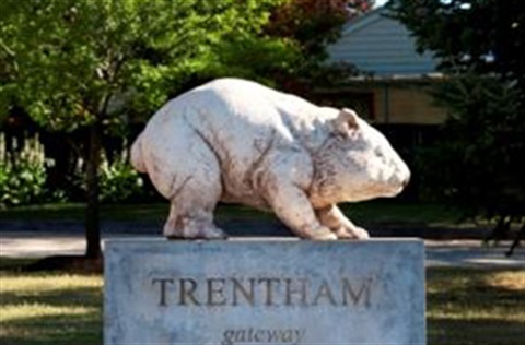 Statue of a pig in Trentham Town Square